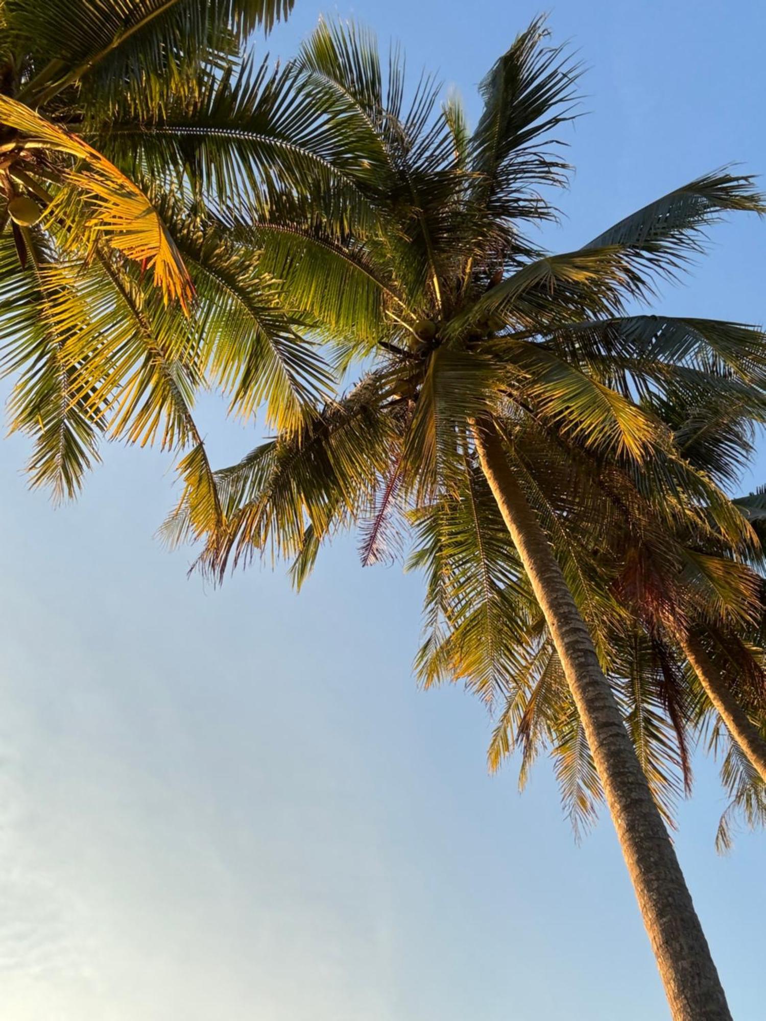 Coco Canopy Boutique Resort تْشام كو المظهر الخارجي الصورة